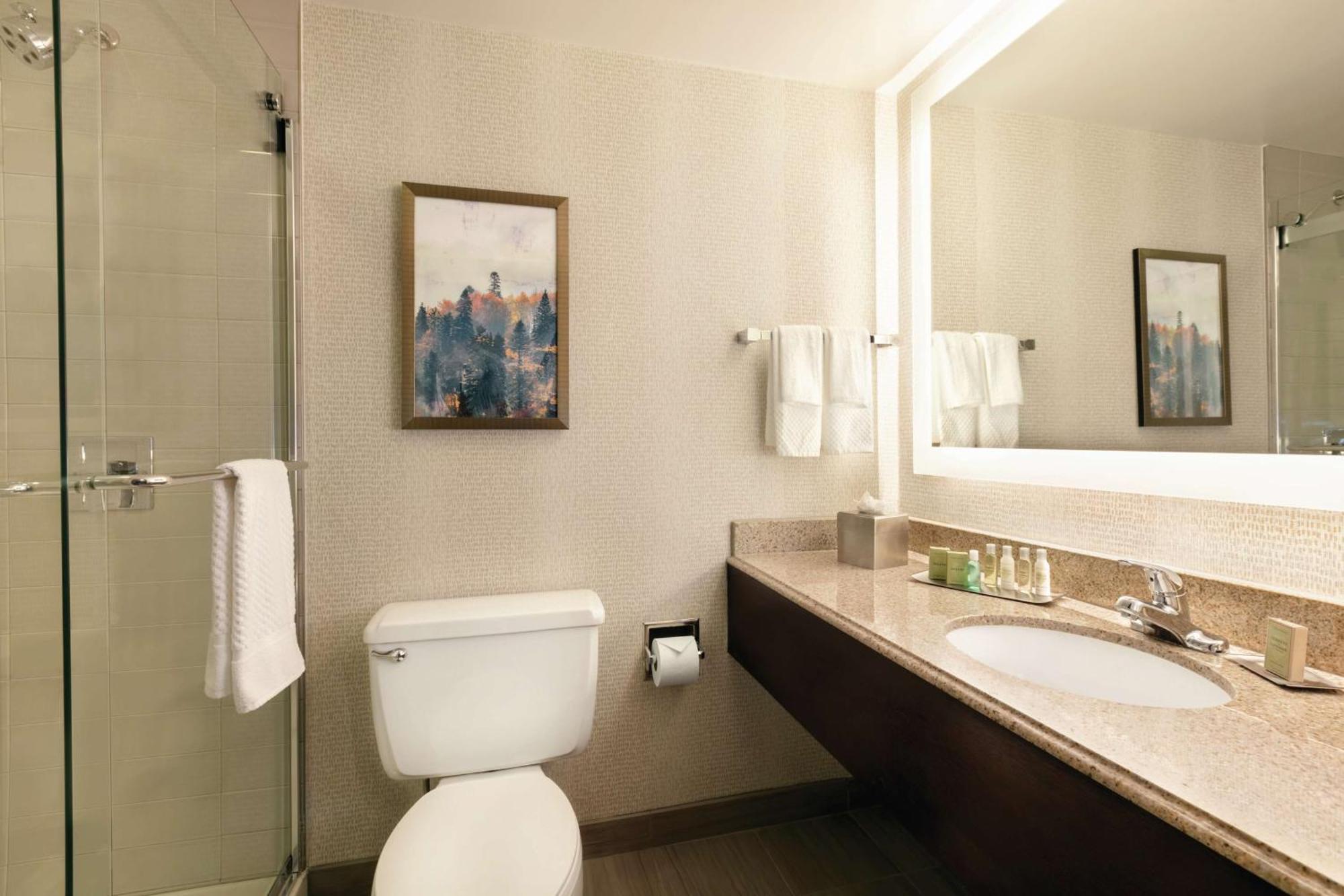 Doubletree By Hilton Atlanta Northeast/northlake 4* Tucker